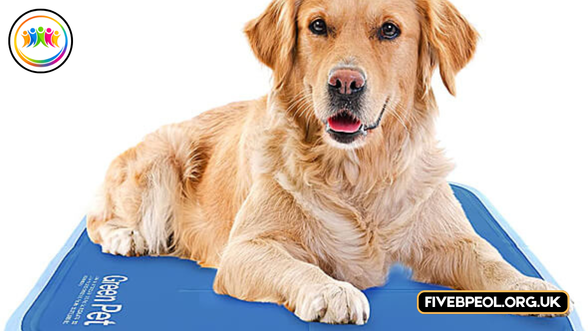 Best Cooling Mats for Dogs